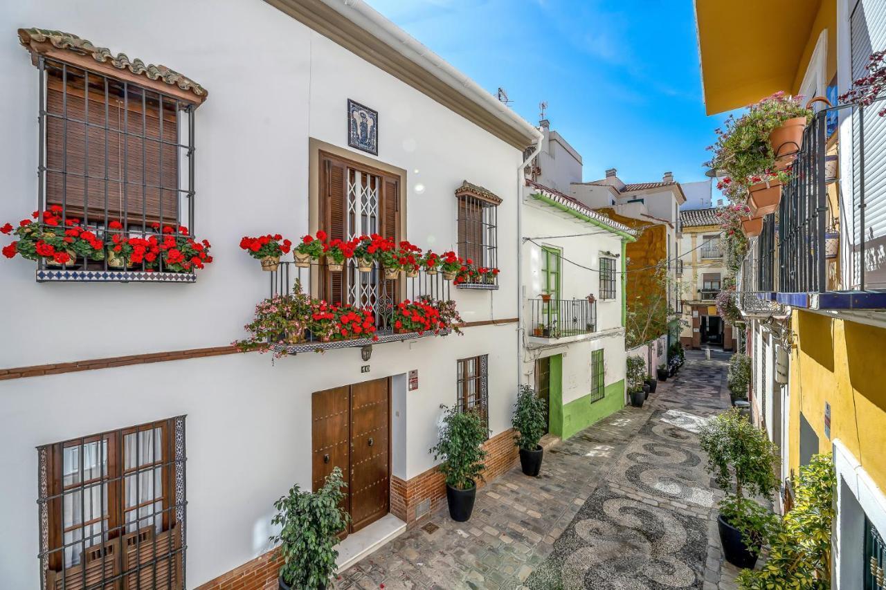 Hébergement de vacances Urban Rose , Superb Private House In Historical Center, With Sunny Rooftop